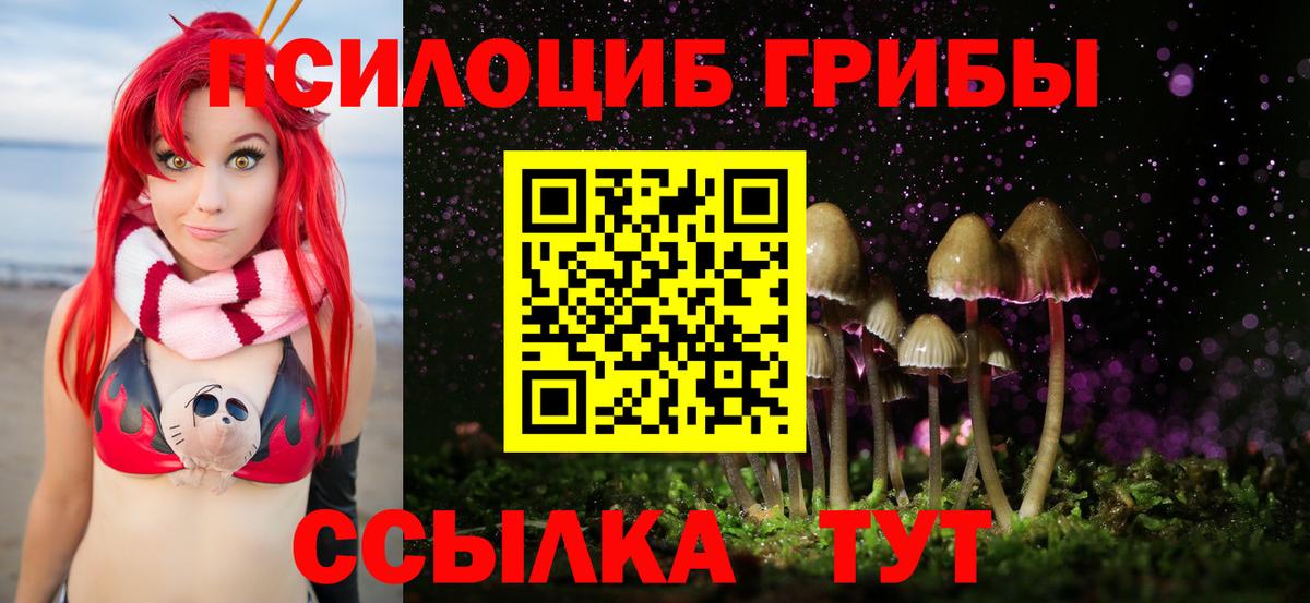 Галлюциногенные грибы Psilocybe Бахчисарай