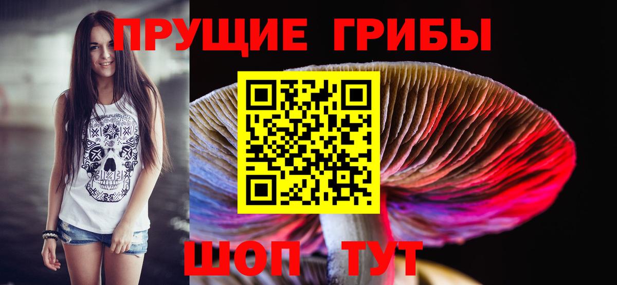 Галлюциногенные грибы прущие грибы  Вход с VPN  Бахчисарай 